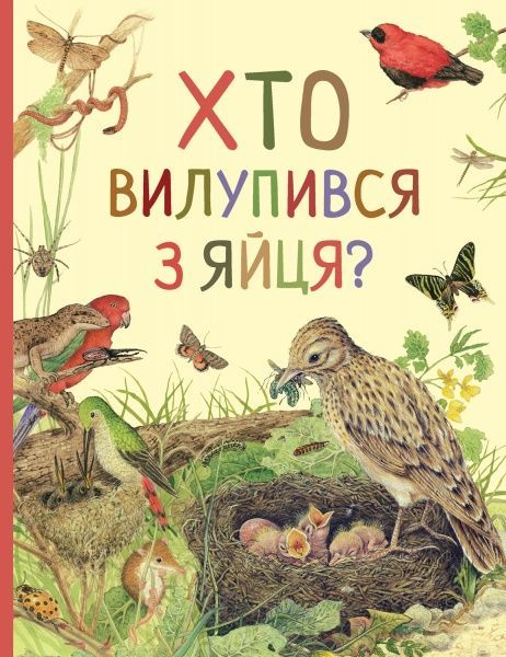 Книга «Хто вилупився з яйця? Дивовижний світ тварин» 978-966-98505-8-4