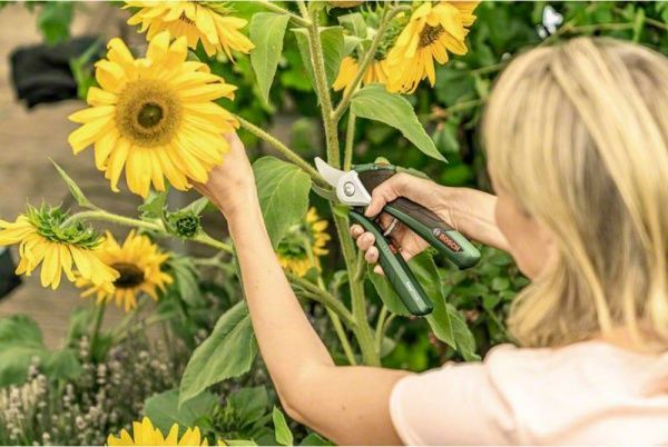 Секатор Bosch акумуляторний EasyPrune 06008B2000