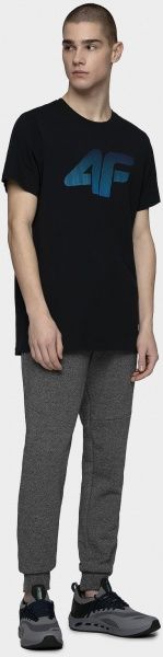 Футболка 4F NOSD4-TSM302-31S р.S синий