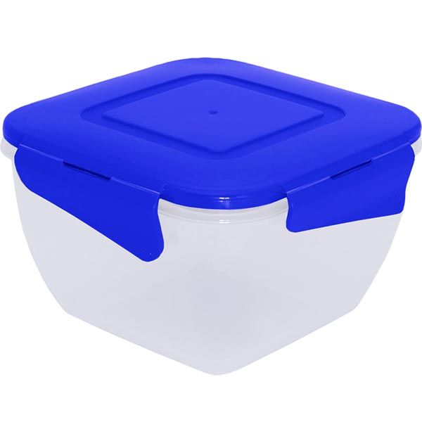 Контейнер для пищевых продуктов с крышкой 0,9 л Алеана