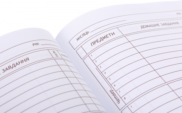 Дневник школьный ROAD В5 40 листов твердый переплет KIDS Line ZiBi