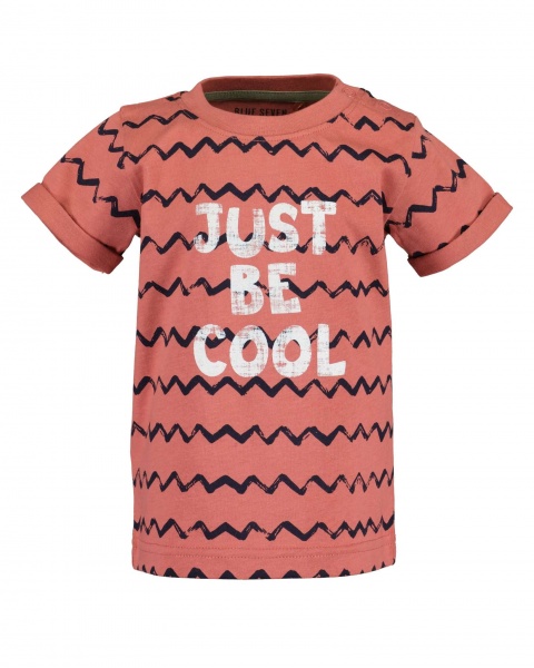 Футболка для мальчиков Blue Seven р.80 928122 X_291_р.80 