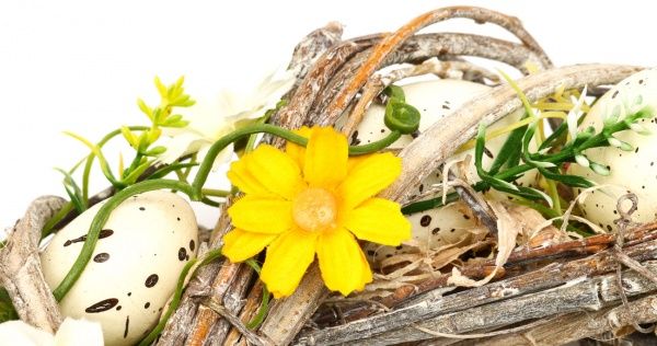 Венок пасхальный с яйцами и цветочками F18S0164