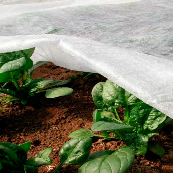 Агроволокно Виола 50 г/м2 3.2 м белое