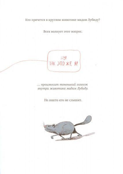 Книга «Секрет животика мадам Лубиду» 978-617-7537-46-4