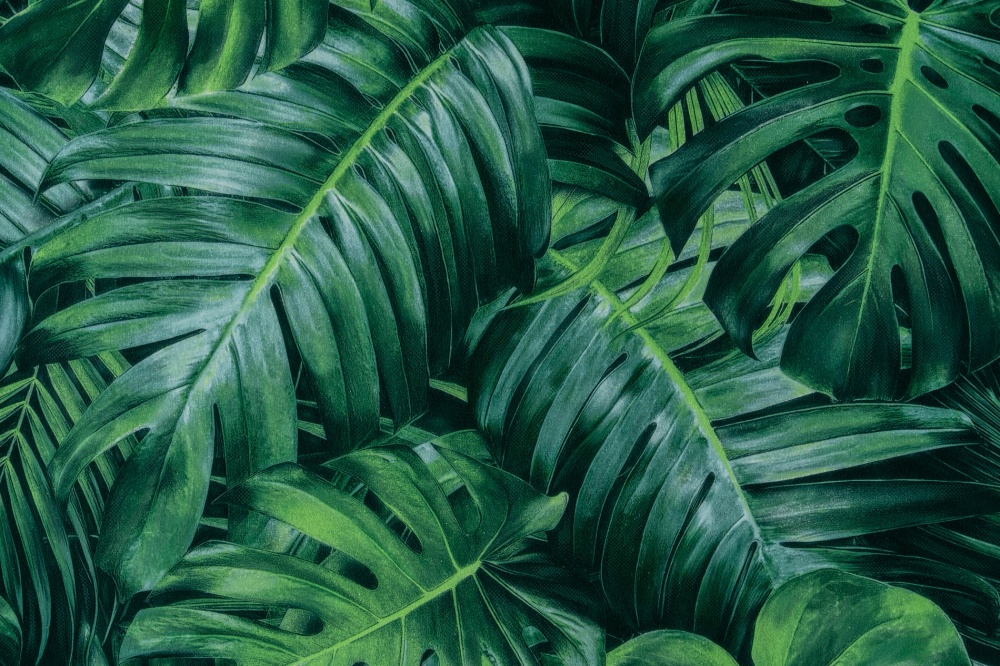 Шпалери дуплекс Слов'янські шпалери KOLORIT 5265-03 0,53x10,05 м