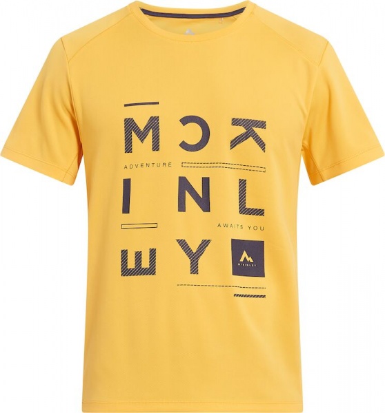 Футболка McKinley Rimmo M 421716-220 р.3XL помаранчевий
