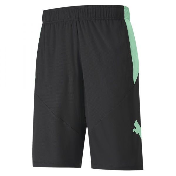 Шорти Puma Cat Short 51838314 р. XL чорний
