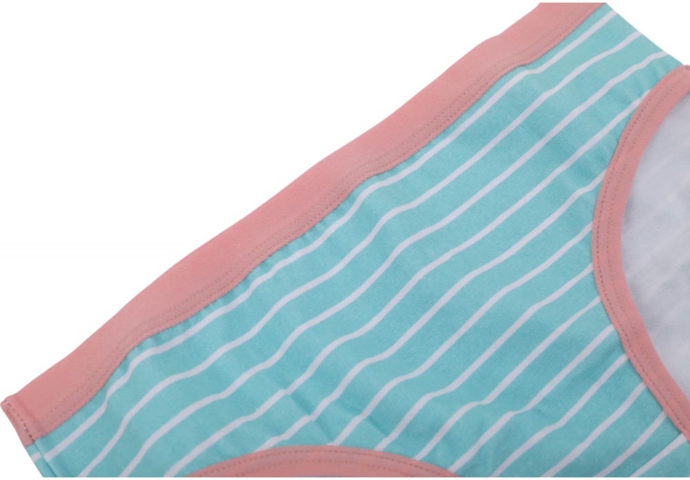 Набір трусів для дівчаток HW 3 пари р.134-140 рожевий із блакитним E4-F4