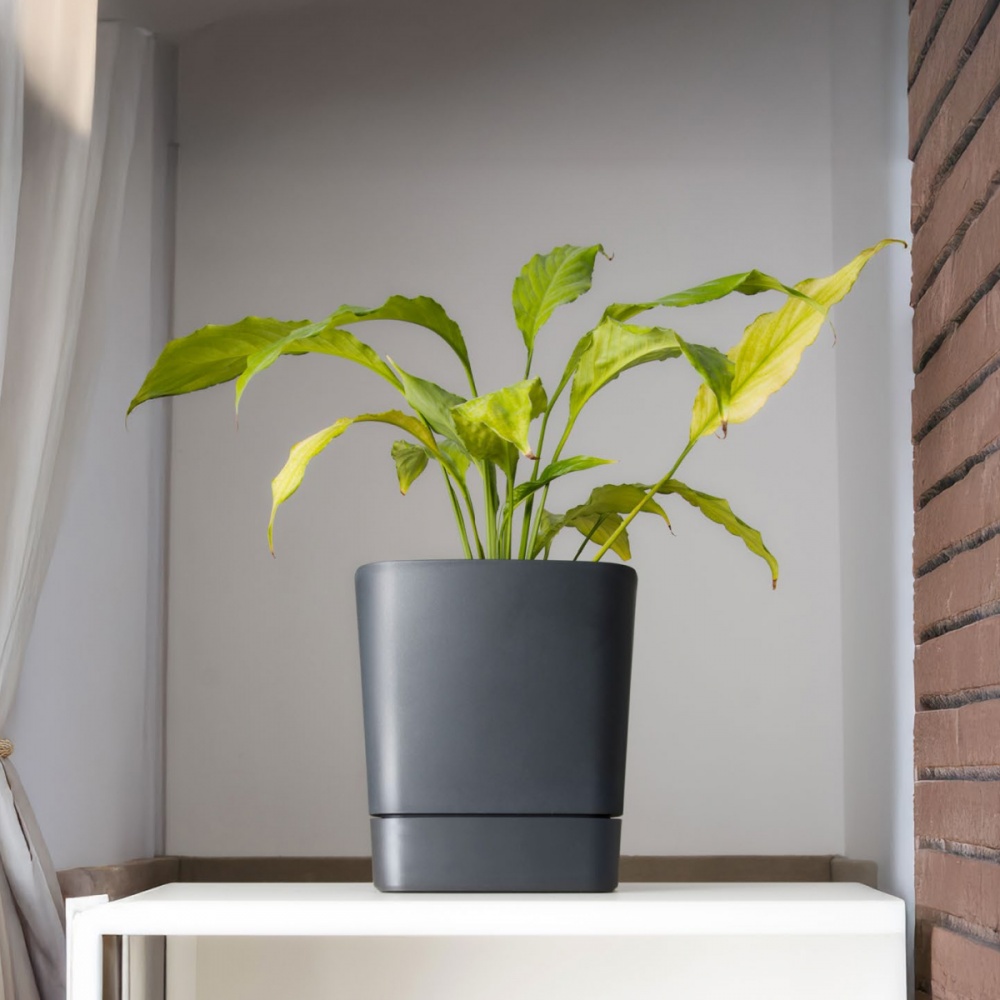 Вазон пластиковый пластик CLIMA квадратный гранитно-черный 8 л Lamela (9711420)