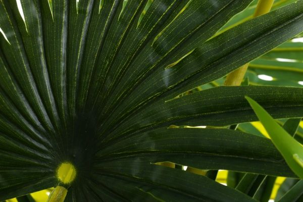 Дерево штучне Пальма 120 см Koopman