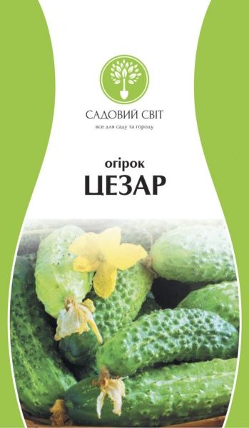 Семена Садовий Світ огурец Цезар 0,5г