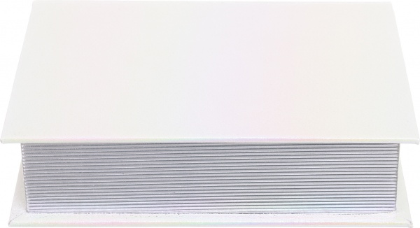 Шкатулка-книга Хамелеон 23х17х6 см молочная