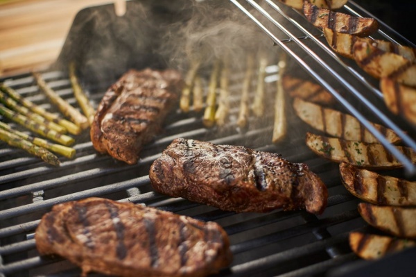 Гриль газовый Weber SPIRIT E-215 GBS 46112275