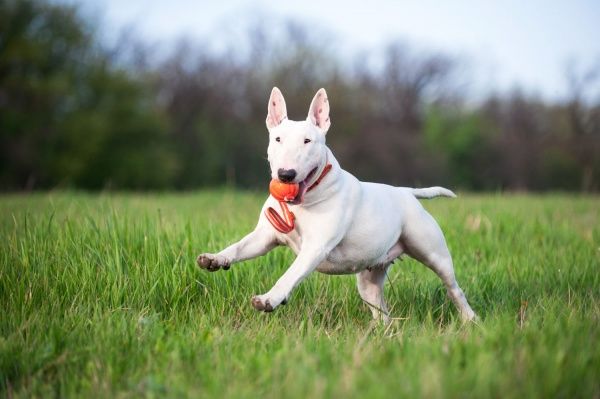 Мячик Liker Лайн 9 см