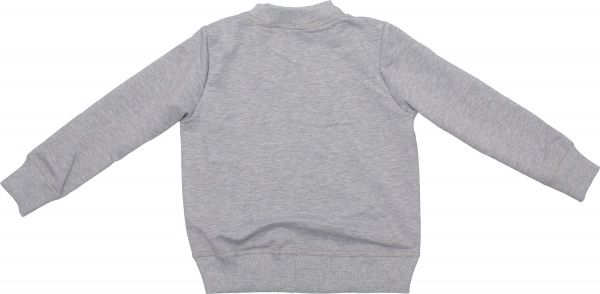 Свитшот Luna Kids 2 р.122 серый меланж 