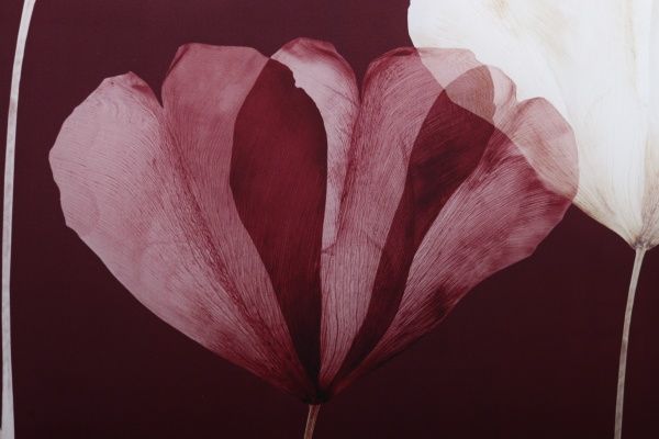 Картина на стекле Бордо 50x70 см Styler GL-01824 