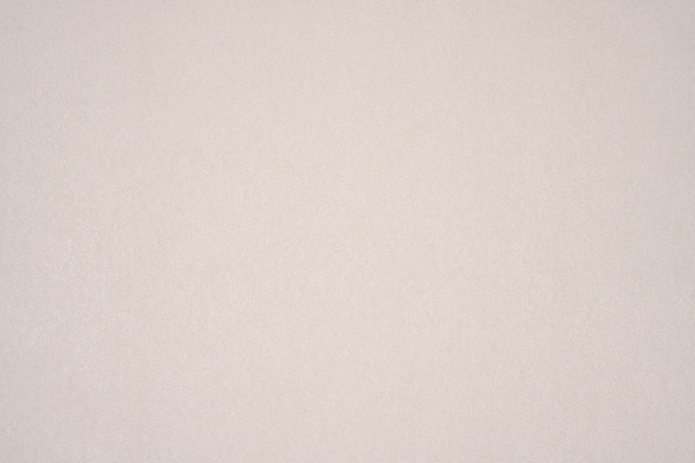 Шпалери вінілові на флізеліновій основі Слов'янські шпалери Le Grand platinum Трема 1706-01 1,06x10,05 м