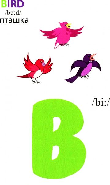 Книга «Книга Англійська абетка.ТМ My Little Pony»