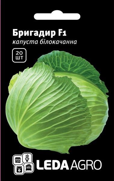 Насіння LedaAgro капуста білоголова Бригадир F1 20 шт. (4820119792483)