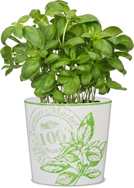 Кашпо керамічне Scheurich Herbs Delicious круглий 1,35л різнокольоровий 