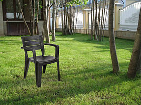 Стілець пластиковий Bica Emma 79x58x60 см графіт