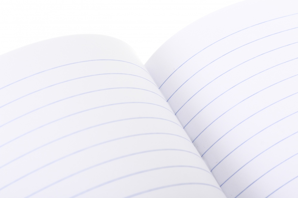 Тетрадь школьная Pixel landscape1_25 48 листов в линейку Nota Bene