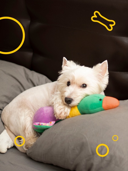 Игрушка для собак DGT-PETS Качка DOG2