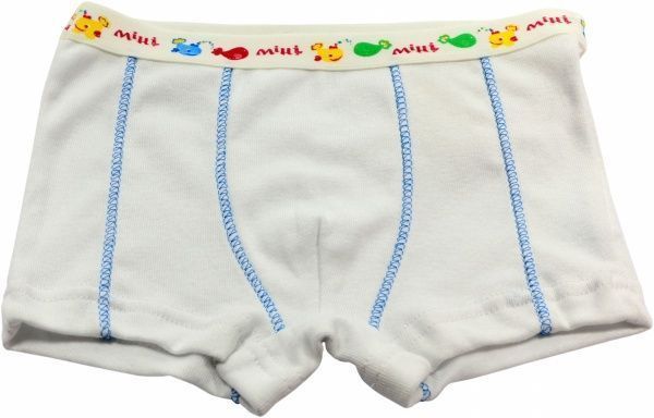 Трусы-шорты для мальчиков Minikin 1205302122 р.122