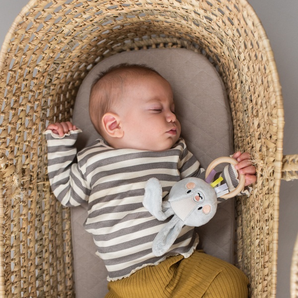 Погремушка Taf Toys Садик в городе Кролик Райли 13025