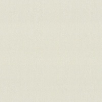 Обои виниловые горячего тиснения Vinil Вермонт VIP 4-1231 1,06x10,05 м 