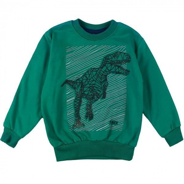 Толстовка для мальчика с драконом 8154 р.92 зеленый 