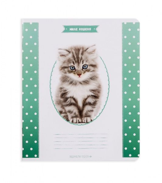 Комплект зошитів Миле кошеня 12 аркушів коса лінія 25 шт. Поділля