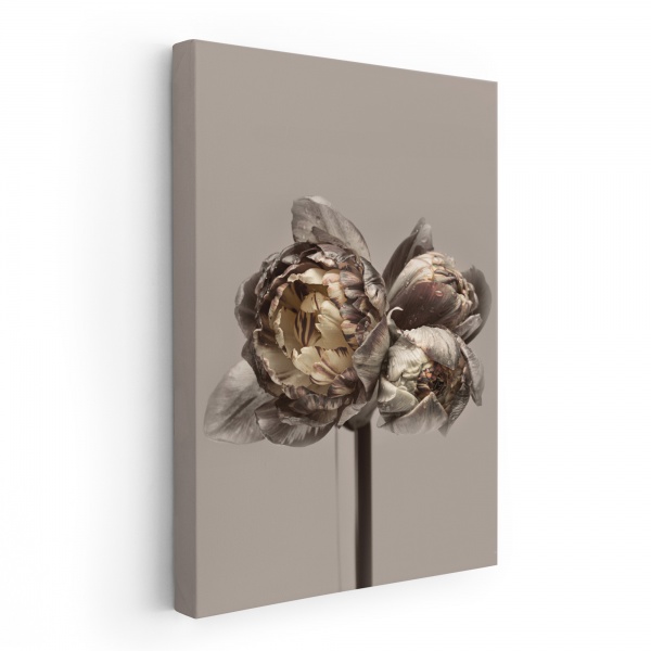 Картина на полотні Бежеві квіти 70x50 см WS Holst 14082216 