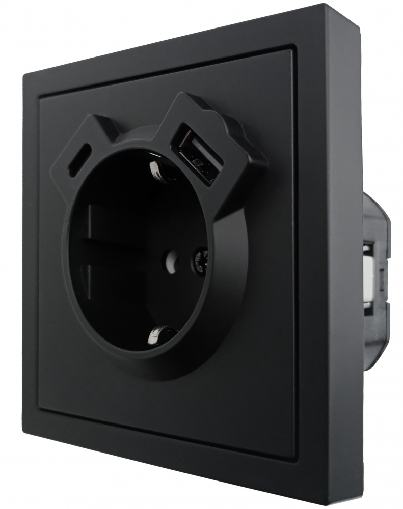 Розетка бытовая + USB + Type C с заземлением HausMark Juna черный