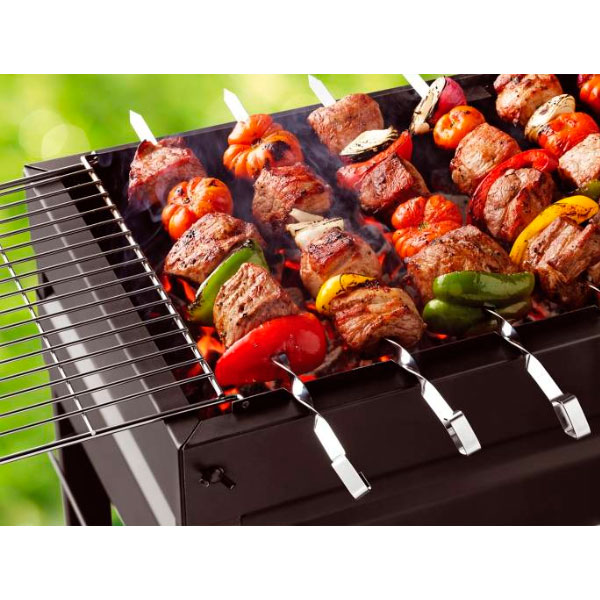 Мангал Forester BQ-909 50х30 см