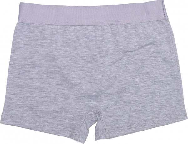 Труси для хлопчиків KOSTA 1401-10 р.158-164 сірий 