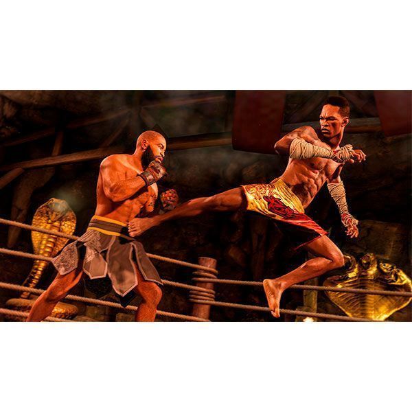 Гра Sony EA SPORTS UFC 4 (PS4, англійська версія)