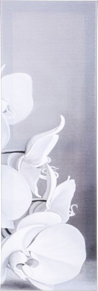 Картина модульная 5 частей Орхидеи 118x80 см Е0100 