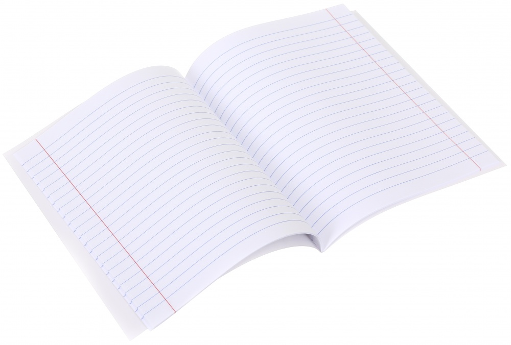 Тетрадь школьная Capybara_25 24 листа в линейку Nota Bene