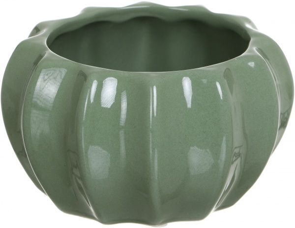 Скринька Кактус WW 2704-15 світло-зелений Eterna