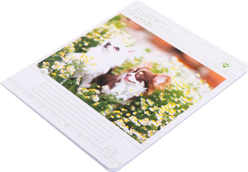 Тетрадь школьная 24 листа в клетку УФ-лак в ассортименте