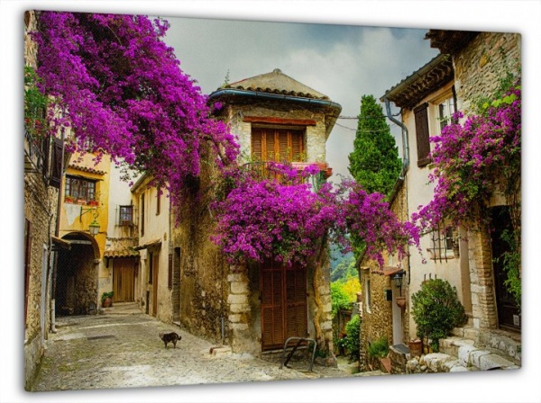 Картина на холсте Улица у цветах 60x100 см Dekor-Karpaty ЕО254 