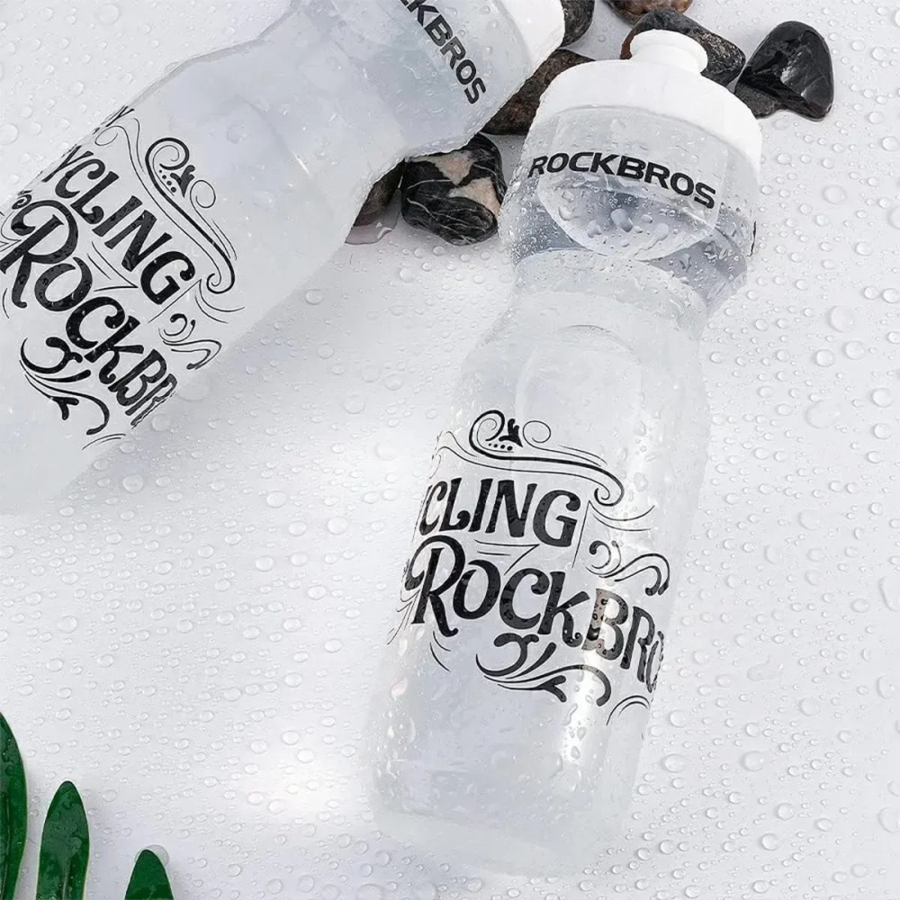 Фляга ROCKBROS DCBT69D 750 мл прозорий