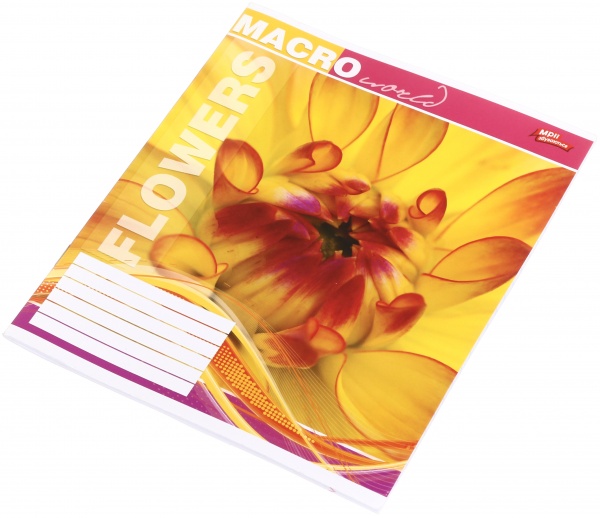 Тетрадь школьная 36 листов в линейку в ассортименте Мечты сбываются