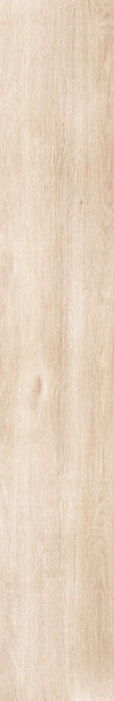 Плитка Allore Group Tahoe Beige F PR R Mat 19,8x120 см