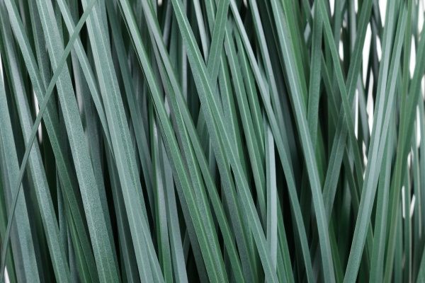 Растение искусственное трава 60 см P9541JSY-60