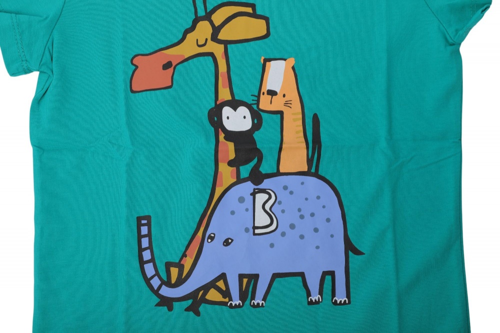 Футболка для мальчиков HW 2 шт. р.116/122 разноцветный 66051_55105