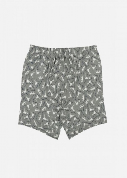 Труси для хлопчика Donella 75882 р.134-140 в асортименті 