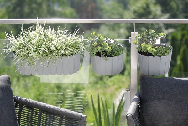 Ящик балконний Prosperplast Boardee Hook прямокутний 4,9л сірий (25302-405) 